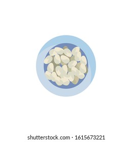 white beans design, Vegetable organic food healthy fresh natural and market theme Vector illustration
