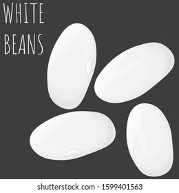 White beans vector set, isolated cartoon style illustration.