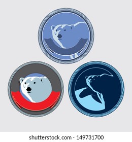 white bear