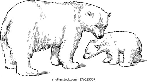 white bear with cub