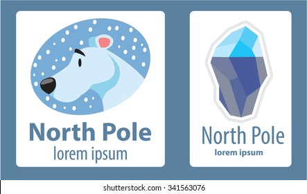 White bear, iceberg, north pole