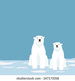 white bear in pole, vector illustration