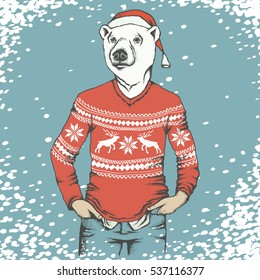 White bear vector illustration. Polar bear in human sweatshirt, and in Christmas Santa hat