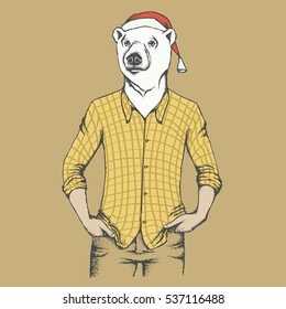 White bear vector illustration. Polar bear in human shirt, and in Christmas Santa hat