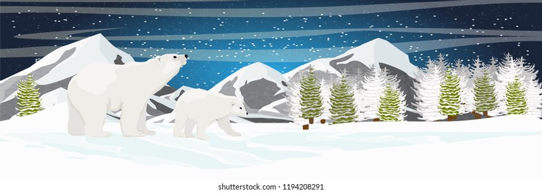 White bear walks through the snow. Mother and child. Mountains, spruce coniferous forest and snow-covered plains. Starry night in the North. Landscapes of the Arctic.