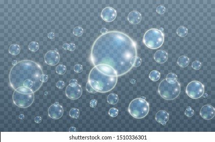 Bichos blancos hermosos en una ilustración transparente de fondo vectorial. Burbujas de jabón.