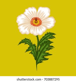 White Beautiful Flower with Big Leafs Vector Illustration. Argemone Alba