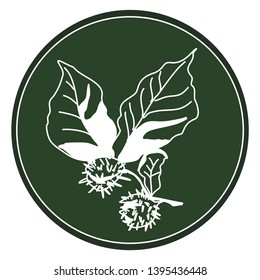 White beech branch logo on a dark green background. Celtic astrological calendar of the druids. Tree symbol in a circle. European beech. For natural themes. Chalk drawing on blackboard