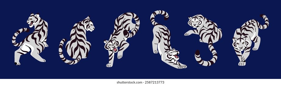 White Bengal tiger set. Wild big cats with black stripes are angry, roaring, stretching, relaxing. Jungle animals, rainforest tigrises are in different poses. Flat isolated vector illustrations