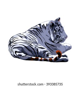 white Bengal tiger. vector image