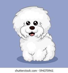 white "bichon frise" dog at one color background