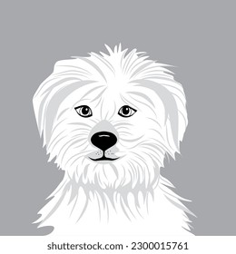 blanco bichon frito vectorial perro con un fondo de color