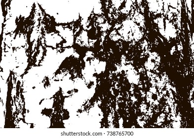 White birch bark macro background texture