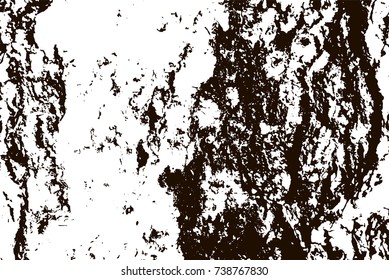 White birch bark macro background texture