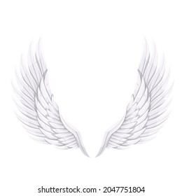 White bird or angel wings, vector illustration.
