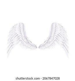 White bird or angel wings, vector illustration.