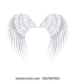 White bird or angel wings, vector illustration.