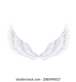 Alas de pájaro blanco o ángel, ilustración vectorial.