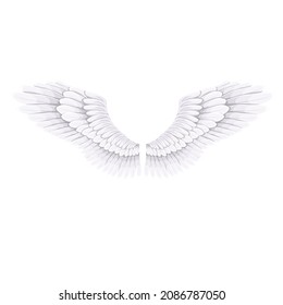 White bird or angel wings, vector illustration.
