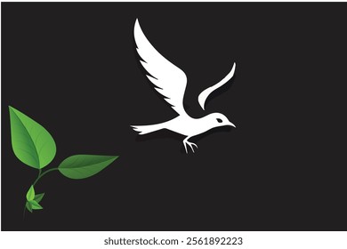 A White bird with a black background