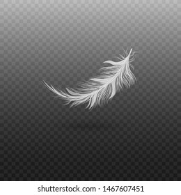 White bird feather isolated on transparent background, realistic fluffy swan plumage floating in air, smooth wing quill falling and flying - vector illustration