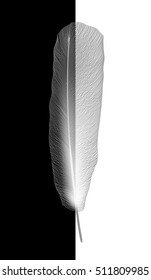 White bird feather on gray background. Vector Illustration. EPS10