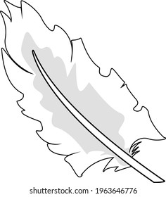 White bird feather. Vector illustration