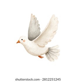 White bird in flight closeup view