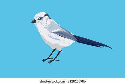 White bird isolated on blue vector