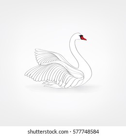 White bird isolated over white background. Swimming swan doodle stylish illustration.