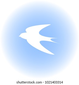 White bird on blue background. Vector