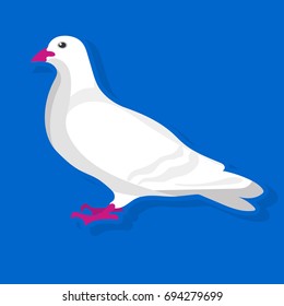 White bird sitting