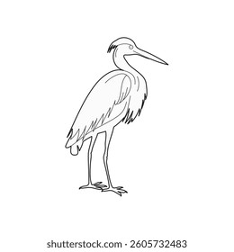 White bird standing, black line sketch, simple