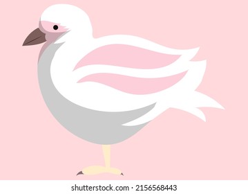 White bird waterfowl stands side view. Feathered seagull with pink wings. Vector colorful bird cute albatross birdie, mallemuck. Avian species, wild life, fauna in forest. For nature, travel concept
