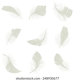White bird wing feather decorative icons set isolated vector illustration