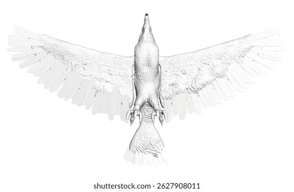 A white bird with its wings spread out. The bird is in the air and he is flying