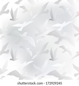 white birds