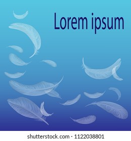 White birds feathers on gradient blue background with empty space for your text, vector illustration