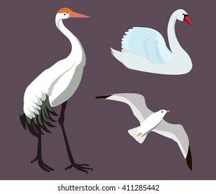 White birds set. Isolated white birds vector.