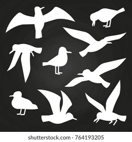 White birds silhuette on chalkboard - flying seagulls silhouettes. Vector illustration