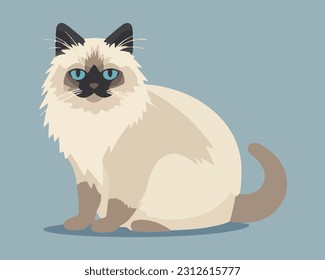 White birman cat flat vector design.