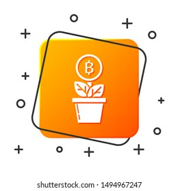 White Bitcoin plant in the pot icon isolated on white background. Business investment growth. Blockchain technology, cryptocurrency mining. Orange square button. Vector Illustration