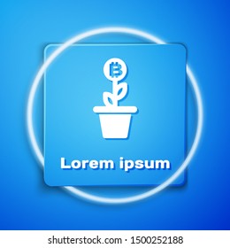 White Bitcoin plant in the pot icon isolated on blue background. Business investment growth concept. Blockchain technology, cryptocurrency mining. Blue square button. Vector Illustration