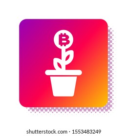White Bitcoin plant in the pot icon isolated on white background. Business investment growth concept. Blockchain technology, cryptocurrency mining. Square color button. Vector Illustration