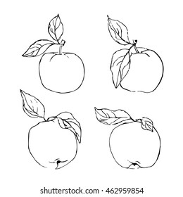 white black apples with leaves vector decorative set illustration