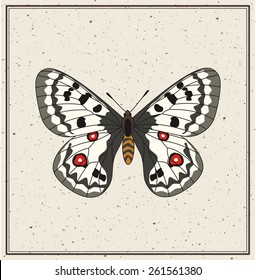 White with black butterfly - vector illustration