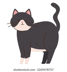 white and black cat character