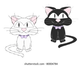 White and black cats  isolated on white