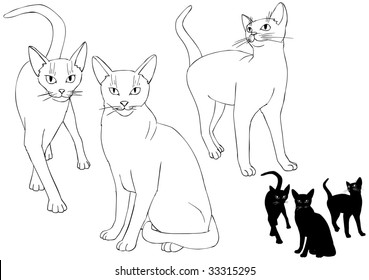 white and black cats vectorial illustration