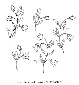 white black contour decorative bell flowers